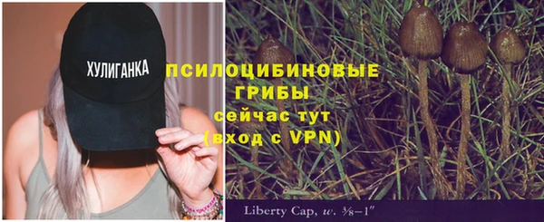 COCAINE Вяземский
