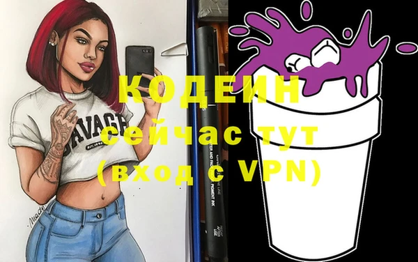 мдпв Верея
