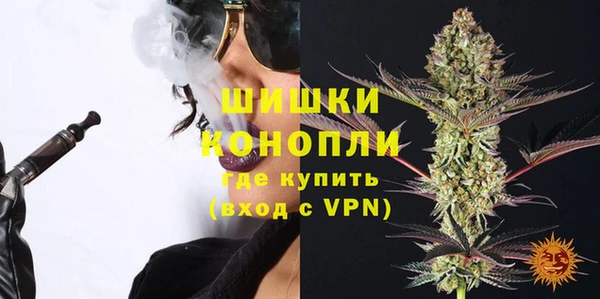 МДПВ Бронницы