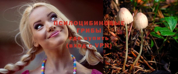 мдпв Верея