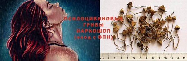 бошки Верхнеуральск